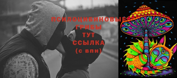 2c-b Белоозёрский